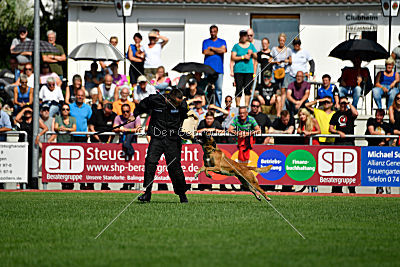 Nikelson van het Dreiland