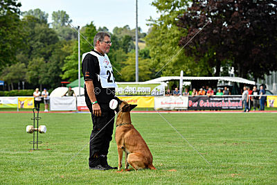 Nikelson van het Dreiland