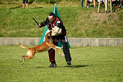 Nikelson van het Dreiland