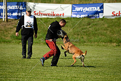 Nikelson van het Dreiland