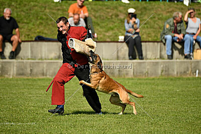 Nikelson van het Dreiland