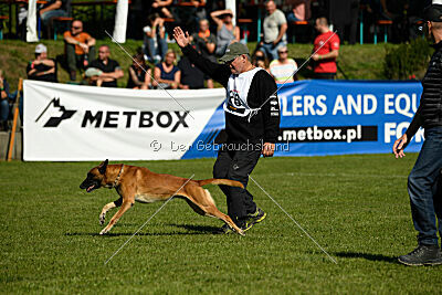 Nikelson van het Dreiland