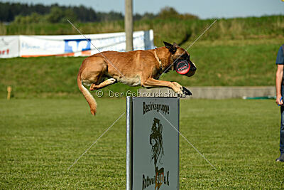 Nikelson van het Dreiland