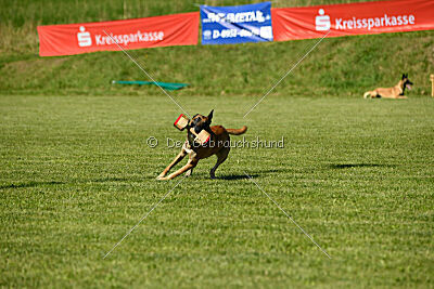 Nikelson van het Dreiland