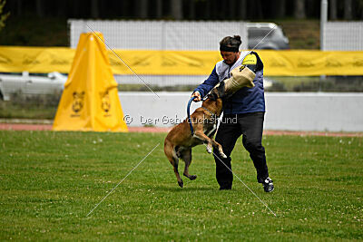 Niko da Quinta do Salomão