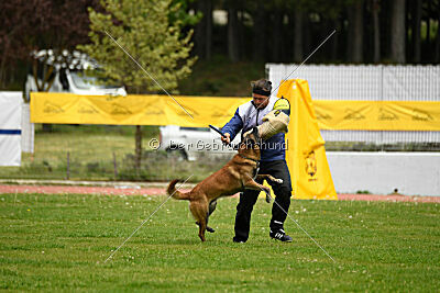 Niko da Quinta do Salomão