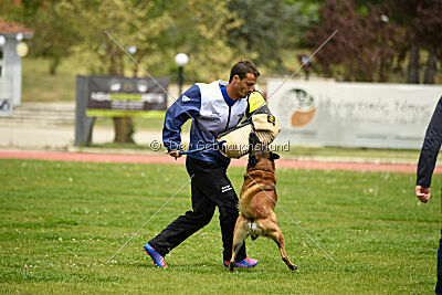 Niko da Quinta do Salomão