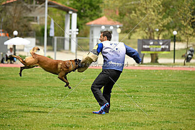 Niko da Quinta do Salomão