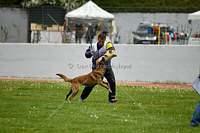 Niko da Quinta do Salomão