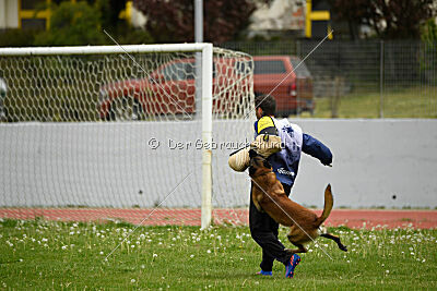 Niko da Quinta do Salomão