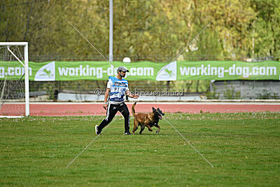 Niko da Quinta do Salomão