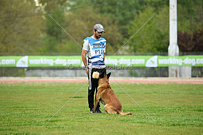 Niko da Quinta do Salomão