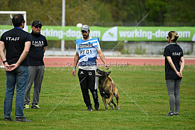 Niko da Quinta do Salomão