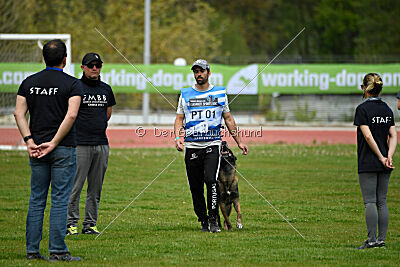 Niko da Quinta do Salomão