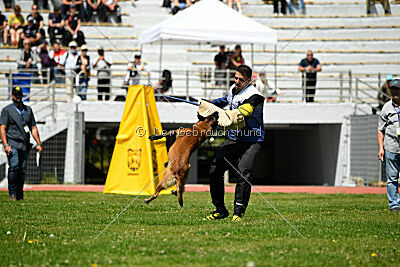 Niko da Quinta do Salomão