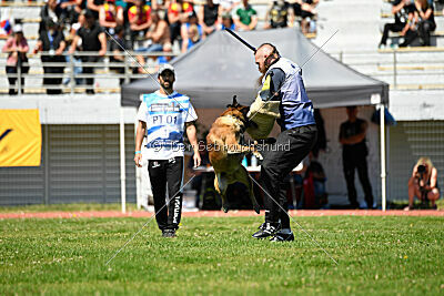 Niko da Quinta do Salomão