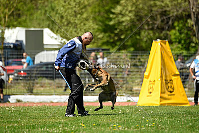 Niko da Quinta do Salomão
