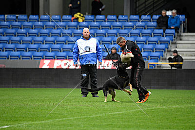 Nils von Berg Israel