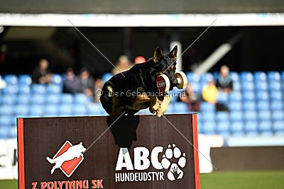Nils von Berg Israel