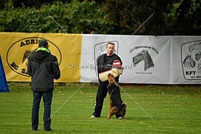 Ninazilli von Erikson