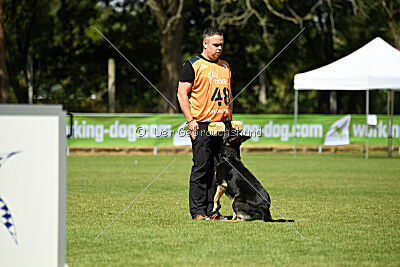 Nitra vom Eisernen Kreuz