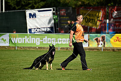 Nitra vom Eisernen Kreuz