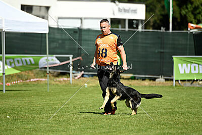 Nitra vom Eisernen Kreuz