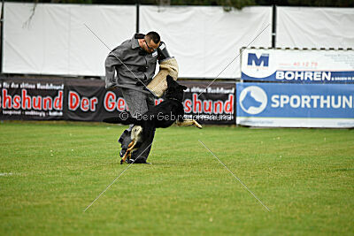 Nitra vom Eisernen Kreuz