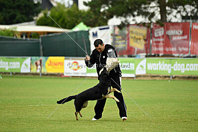 Nitra vom Eisernen Kreuz