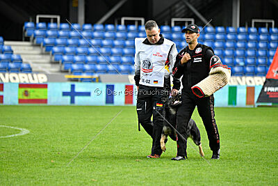 Nitra vom Eisernen Kreuz