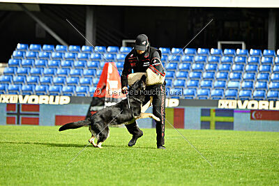 Nitra vom Eisernen Kreuz