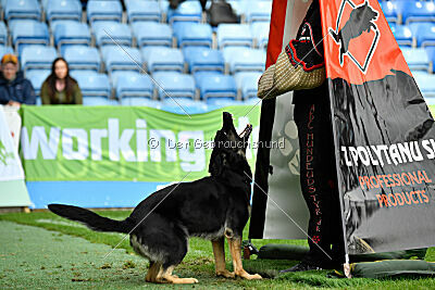Nitra vom Eisernen Kreuz
