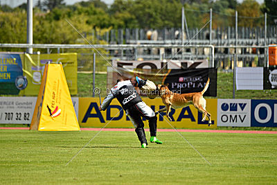 Njag van de Verpihoeve