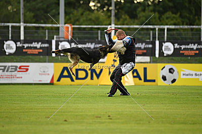 Noppes Black Creek Valley