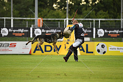 Noppes Black Creek Valley