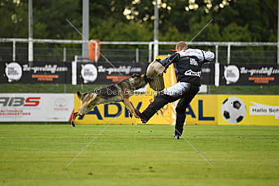 Noppes Black Creek Valley