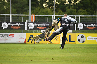 Noppes Black Creek Valley