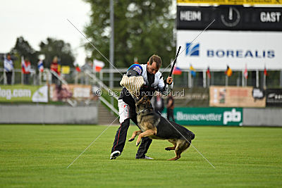 Noppes Black Creek Valley