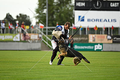 Noppes Black Creek Valley