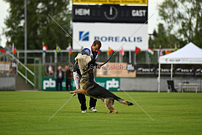 Noppes Black Creek Valley