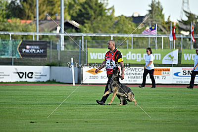 Noppes Black Creek Valley