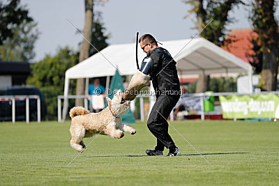 Norbert du Grand-Bijou