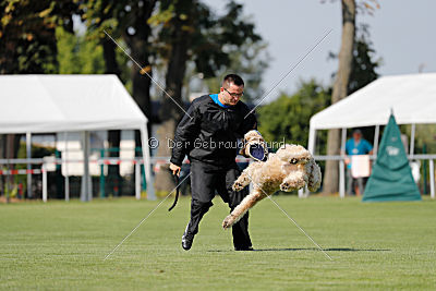 Norbert du Grand-Bijou