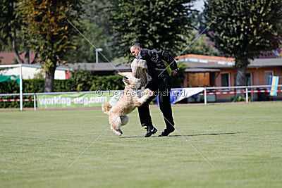 Norbert du Grand-Bijou