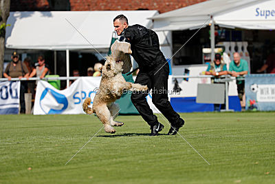 Norbert du Grand-Bijou
