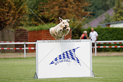 Norbert du Grand-Bijou