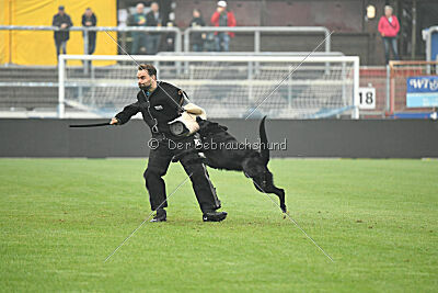 Norbert vom Eichbergblick