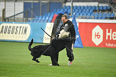 Norbert vom Eichbergblick