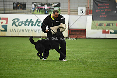 Norbert vom Eichbergblick