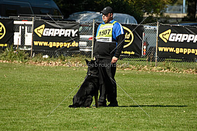 Norman von der Felsenstadt